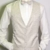 Wedding waistcoat in ivory with matching bow tie by Gerard Paris.